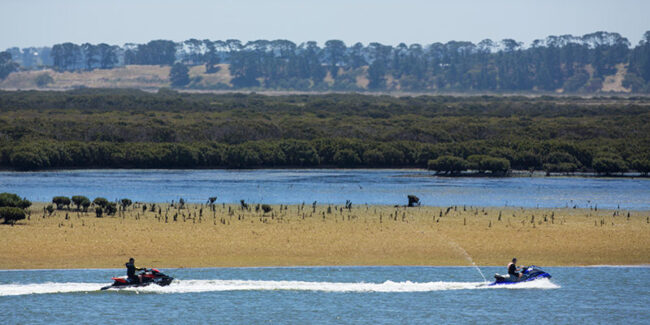 Barwon-River-Estuary-800×400