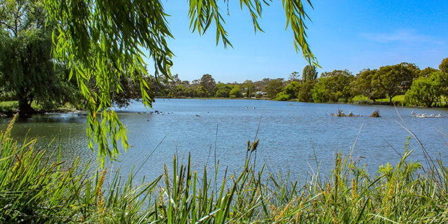 Blue-Waters-Lake-800×400