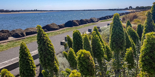 Estuary-Walk-800×400