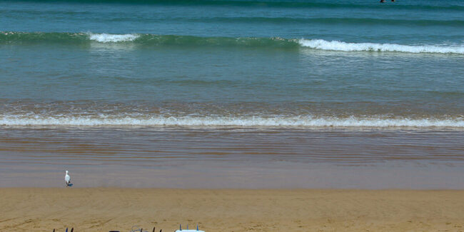 Go-Ride-A-Wave-1200×600