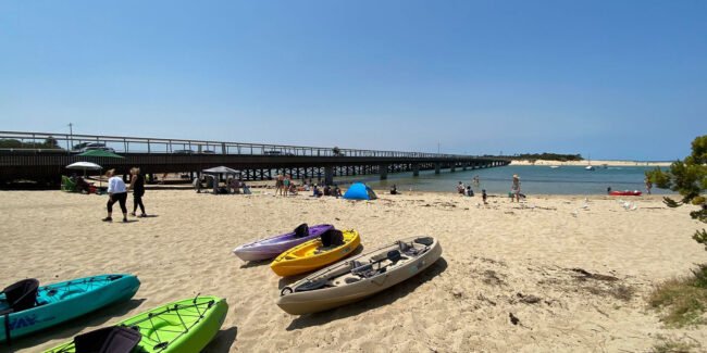 Paddle-Life-1500×750