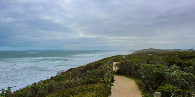 barwon-bluff-walk-800×400
