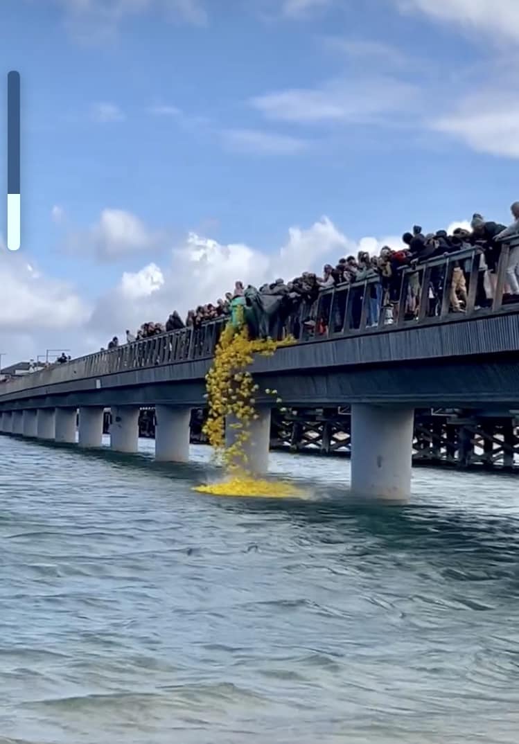 2023 Barwon Heads Duck Race, throwing yellow toy ducks off the pier