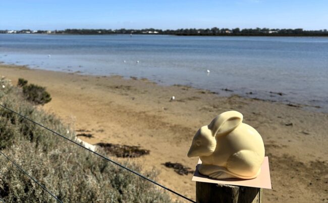 Easter Bilby sitting looking out over the Barwon River