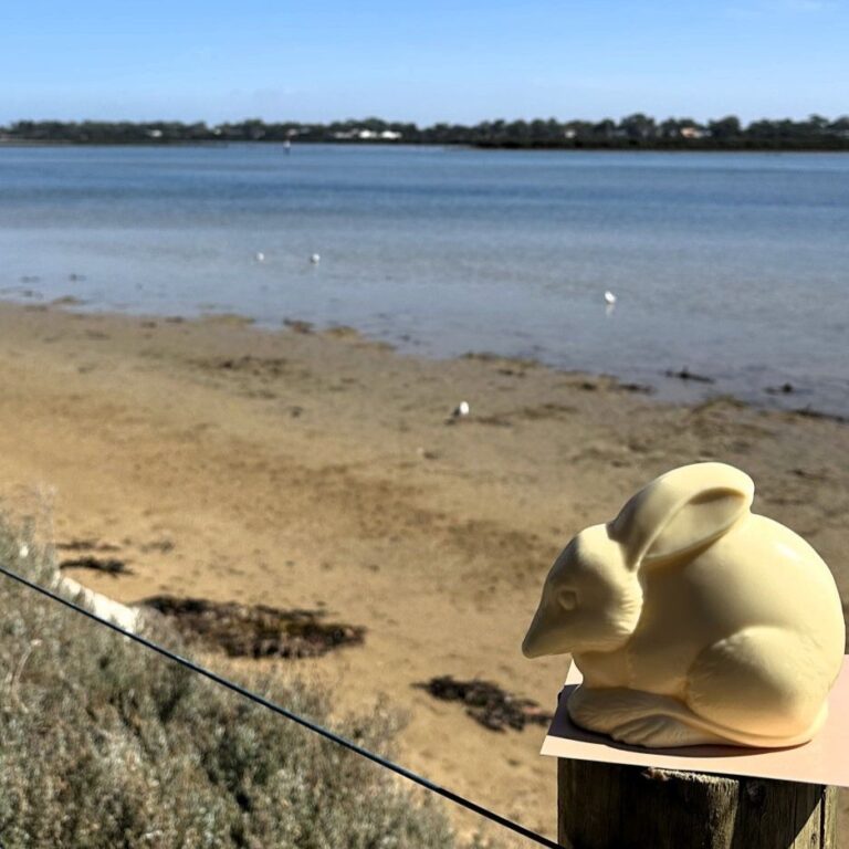 Easter Bilby sitting looking out over the Barwon River